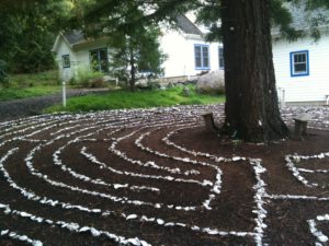 Labyrinth around a tree